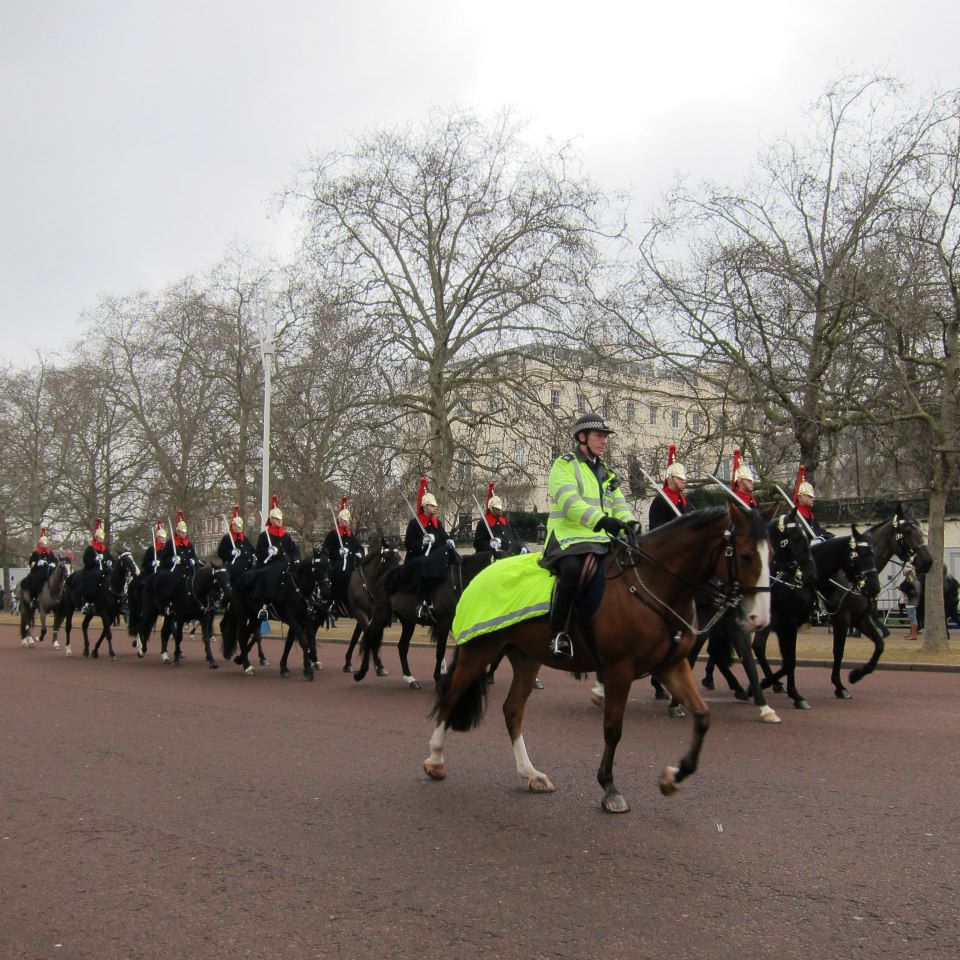 How to Visit Buckingham Palace - The Adventuring Millennial